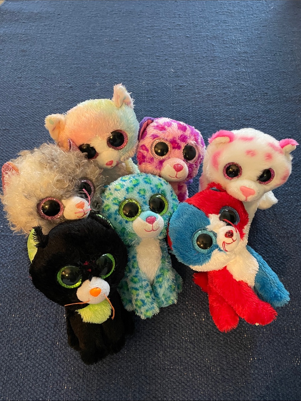 Assorted Colorful Ty cat collection Big-Eyed Plush Beanie-Style Animals